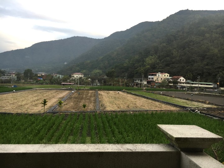 南投