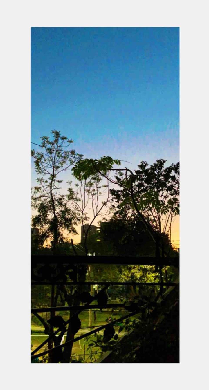 the colours and the evening sky