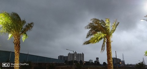 Early Morning Strom