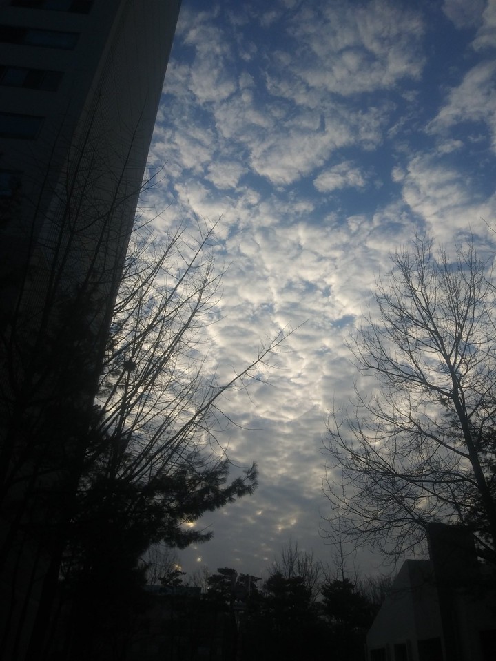 방학식 하늘