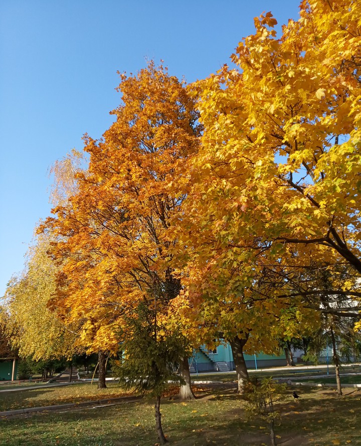 shades of gold