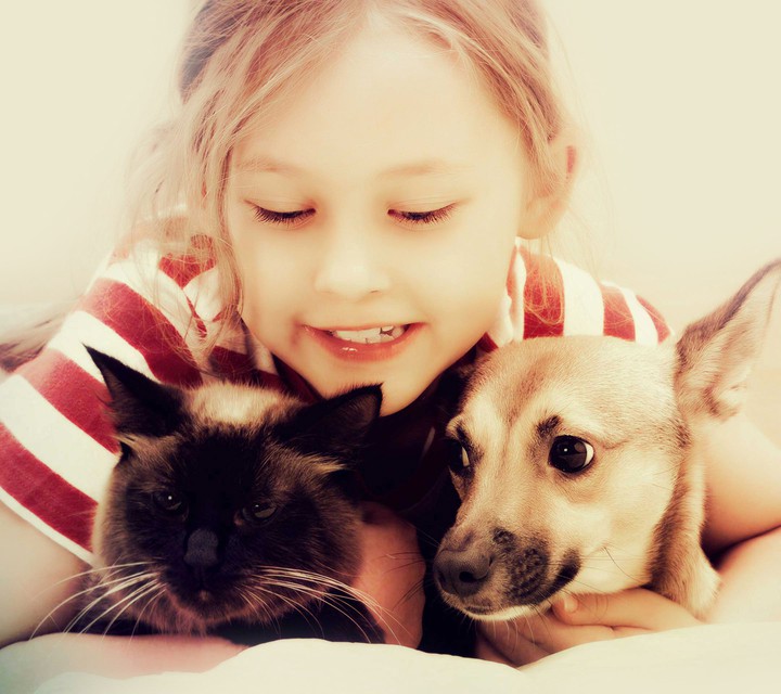 Cuteness overloaded
