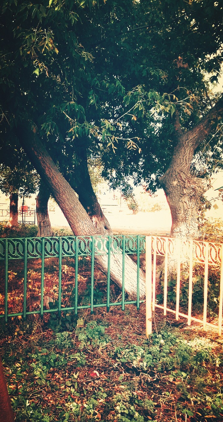 November