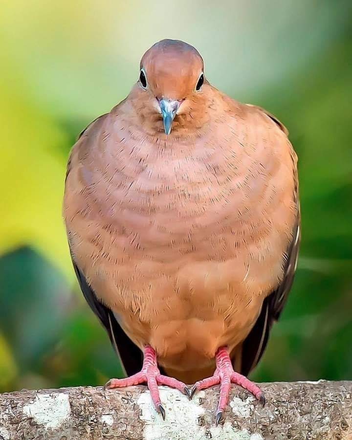 W❤