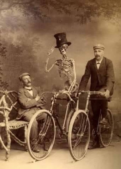 Humanos