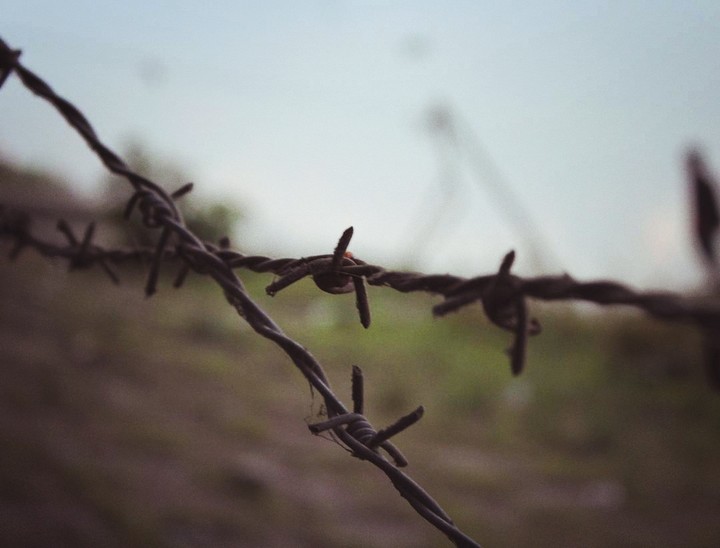 Thorny fences