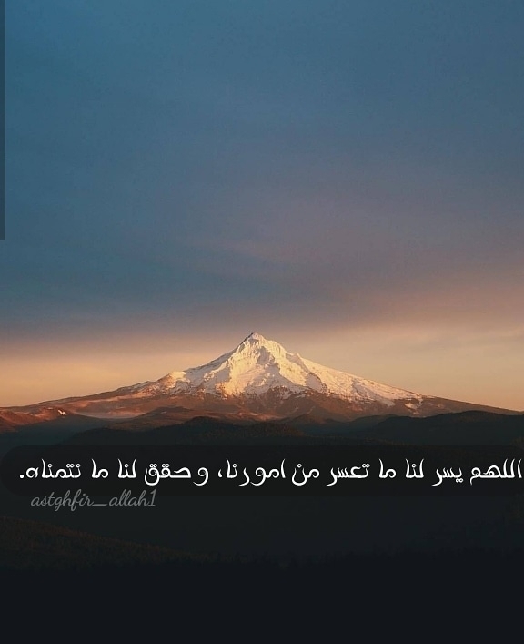#رحيق_الورد