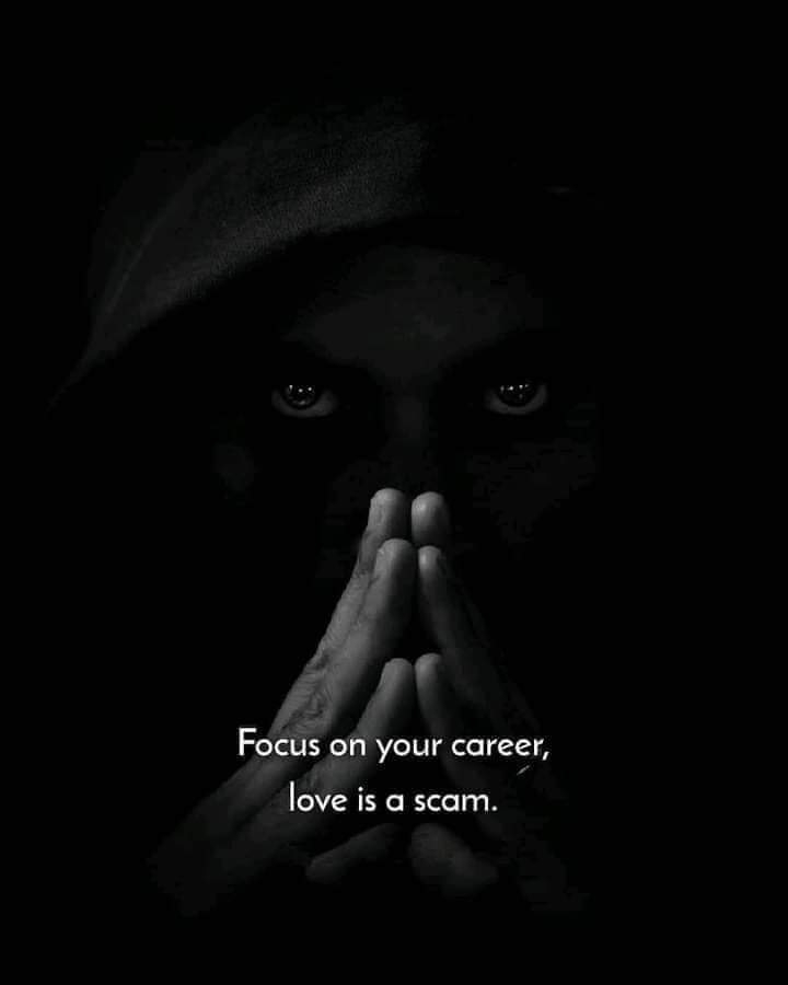 Career