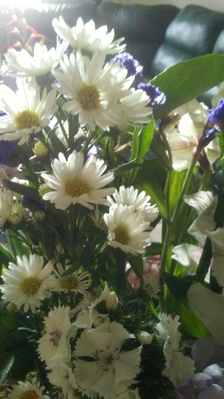 Morning Fresh