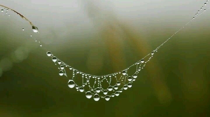 nature wonder