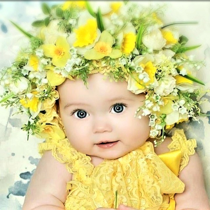 Cutie Pie