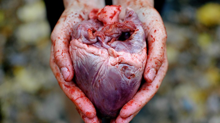 Heart