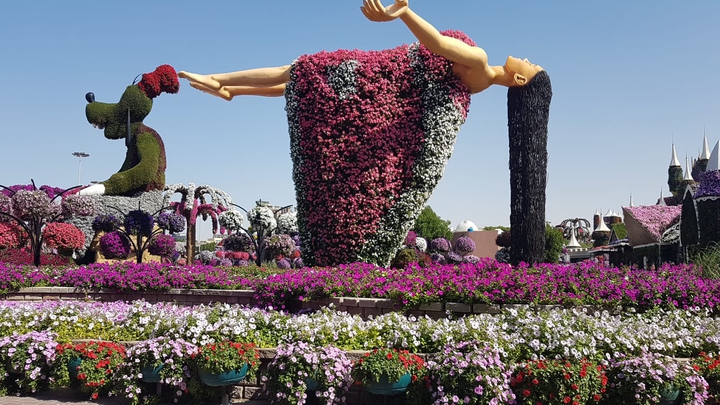 miracle garden