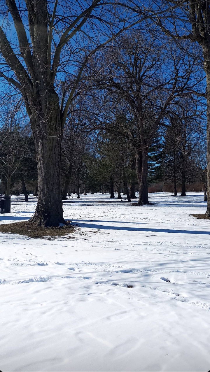 winter