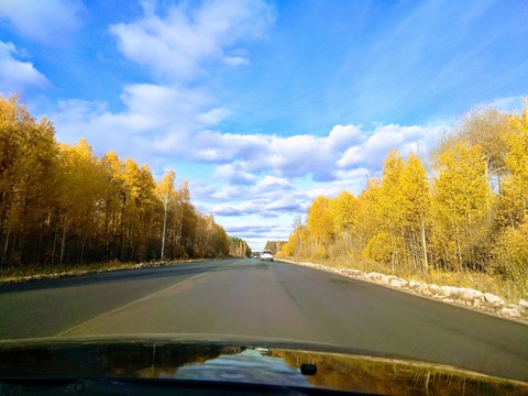 Autumn road