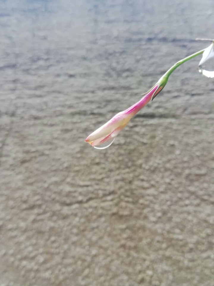 my click ✌