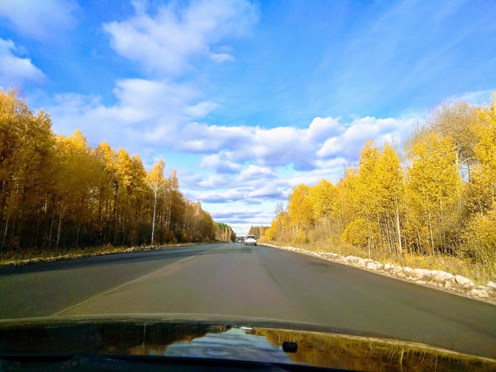 Autumn road