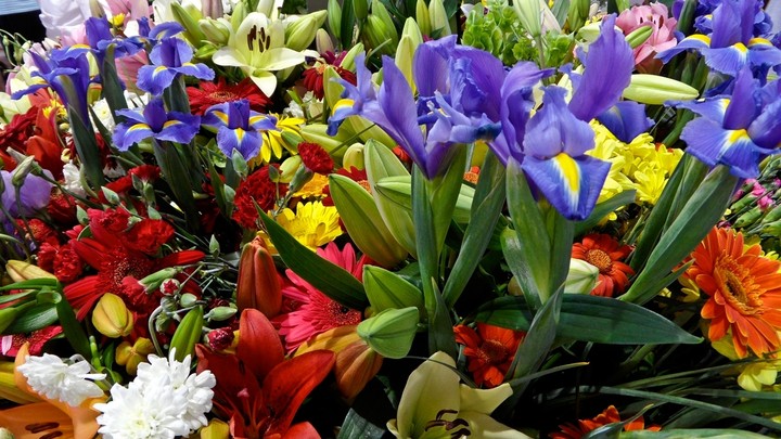 Beautiful Flowers