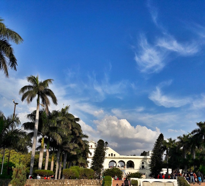 a day with nature