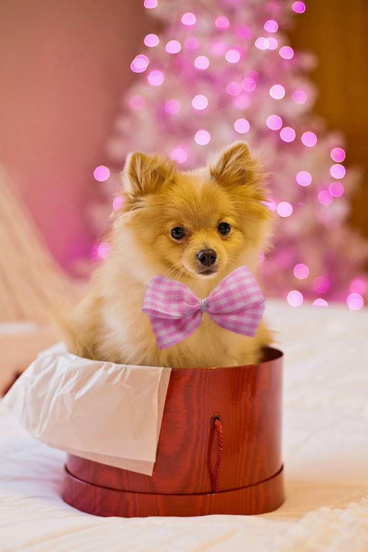 I like pic cute cute r not ugly name of force to be reckoned
