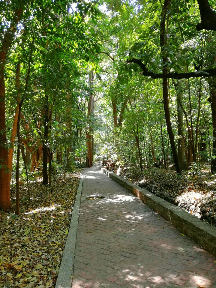 Road