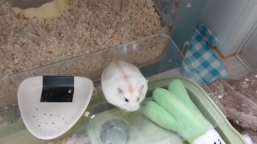 뭉치