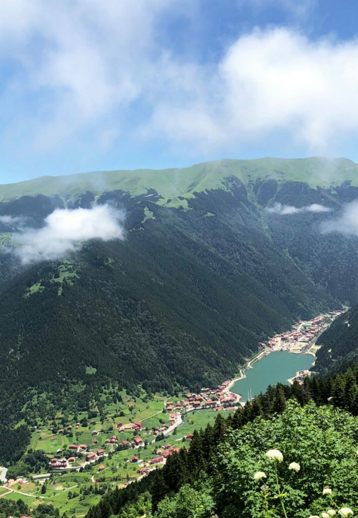Uzungol