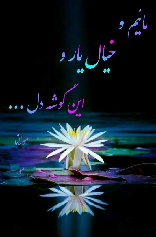 مولانا
