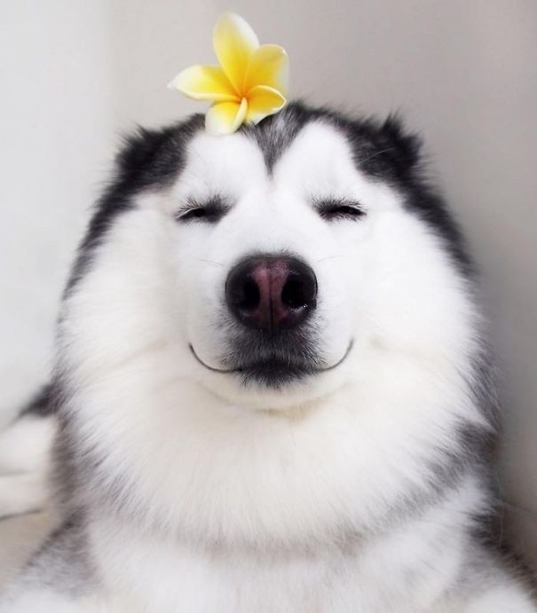 ?