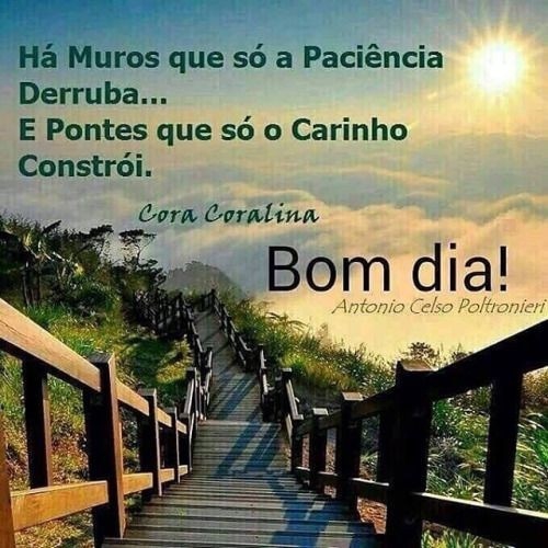 Um ótimo dia para você.