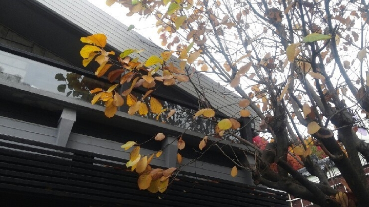 fall