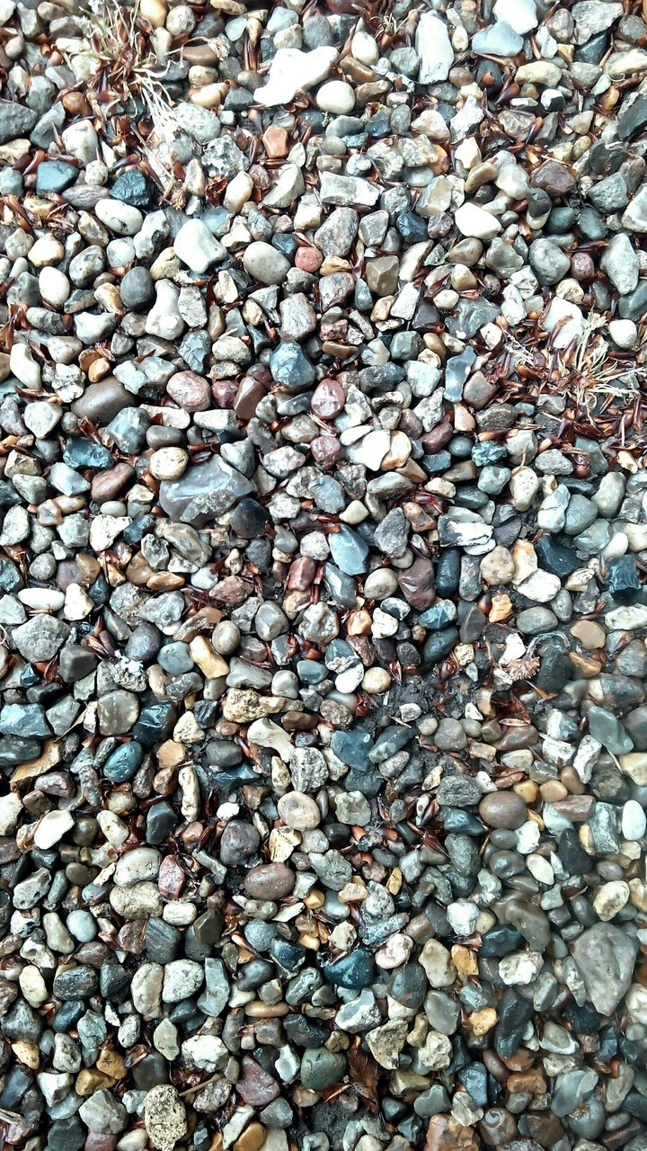 Rock