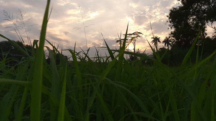 indonesia