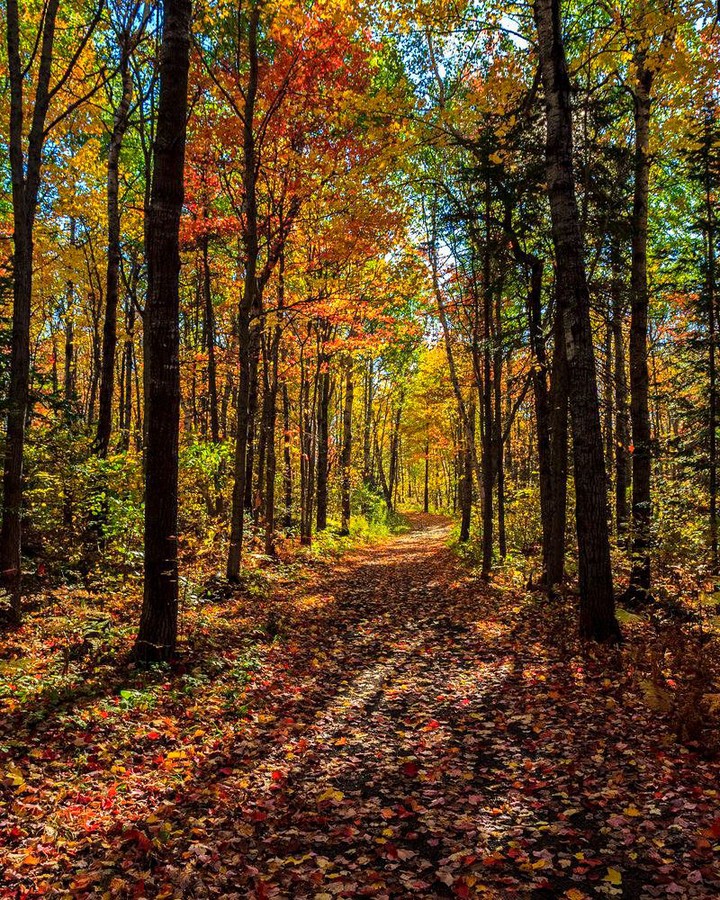 autumn