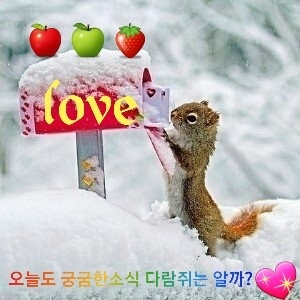 네