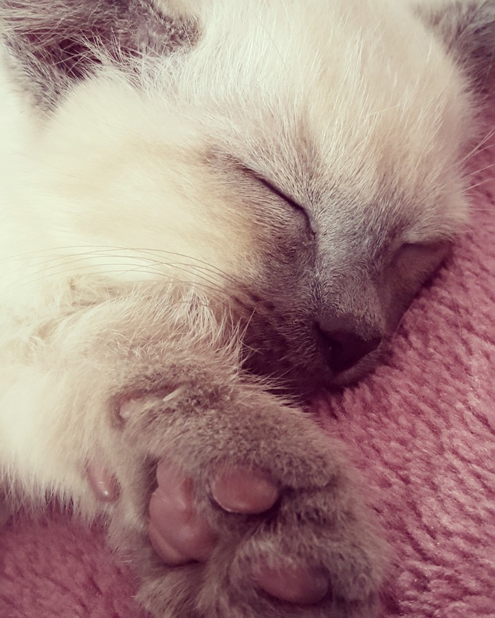 ❤