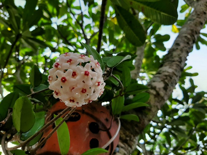 It very beautiful