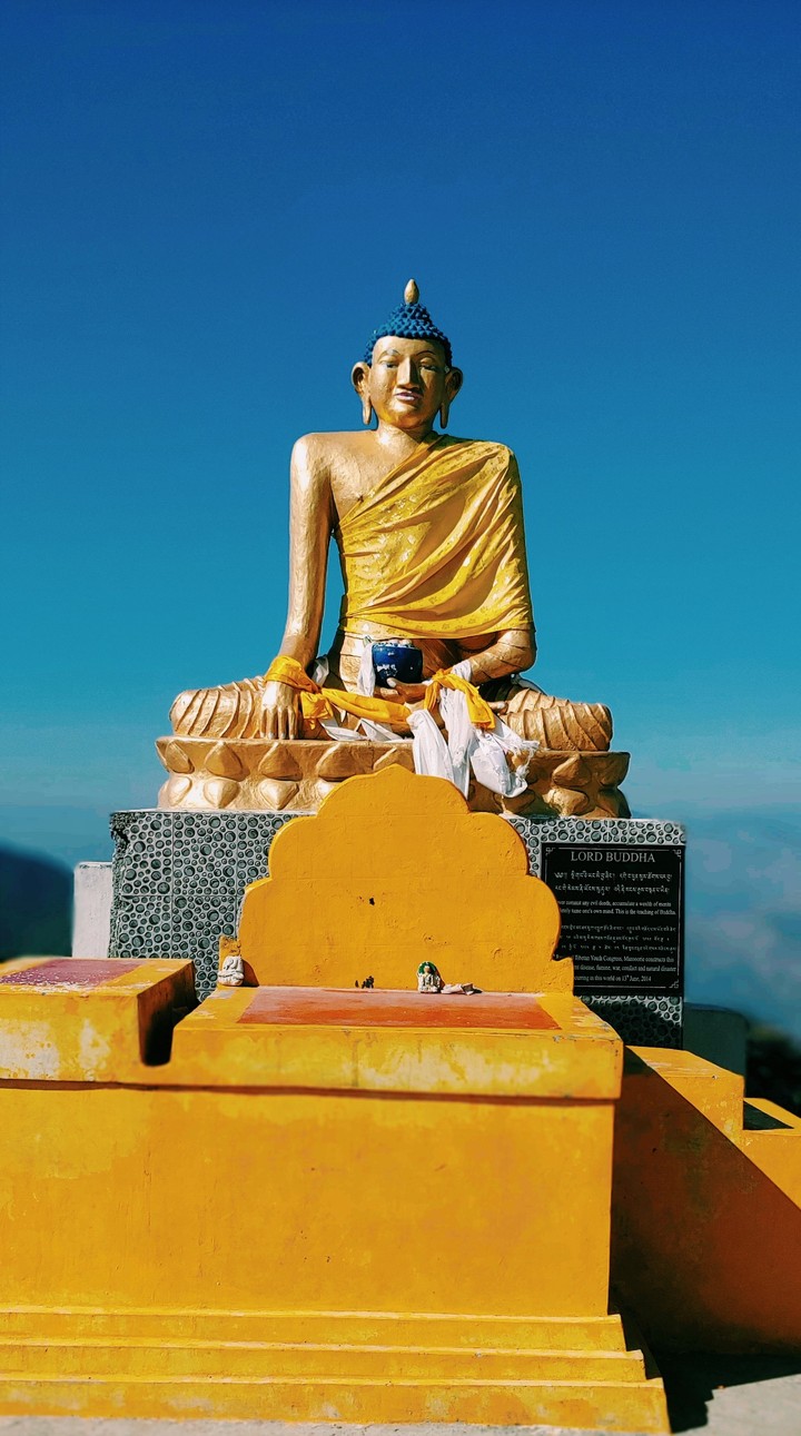 the buddha