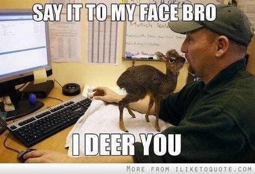 I deer you bra