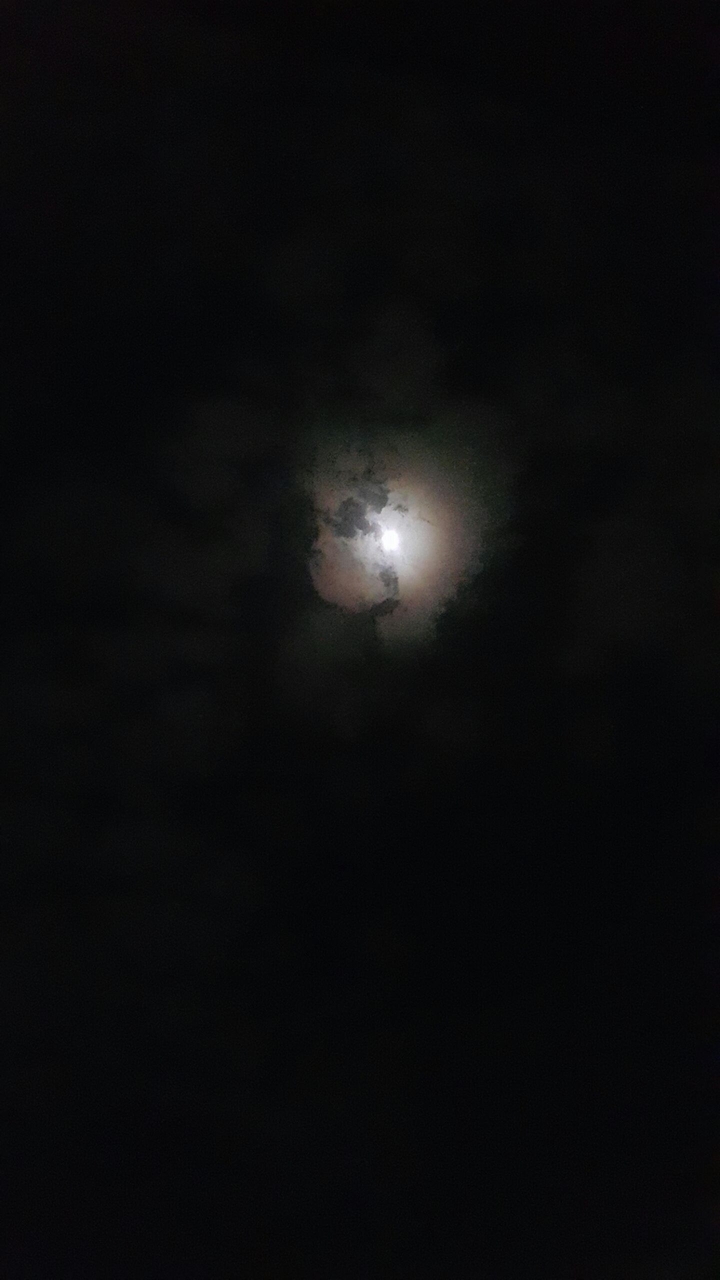 a night under the moon