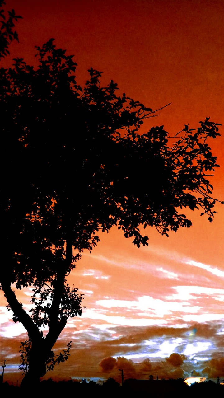 sun