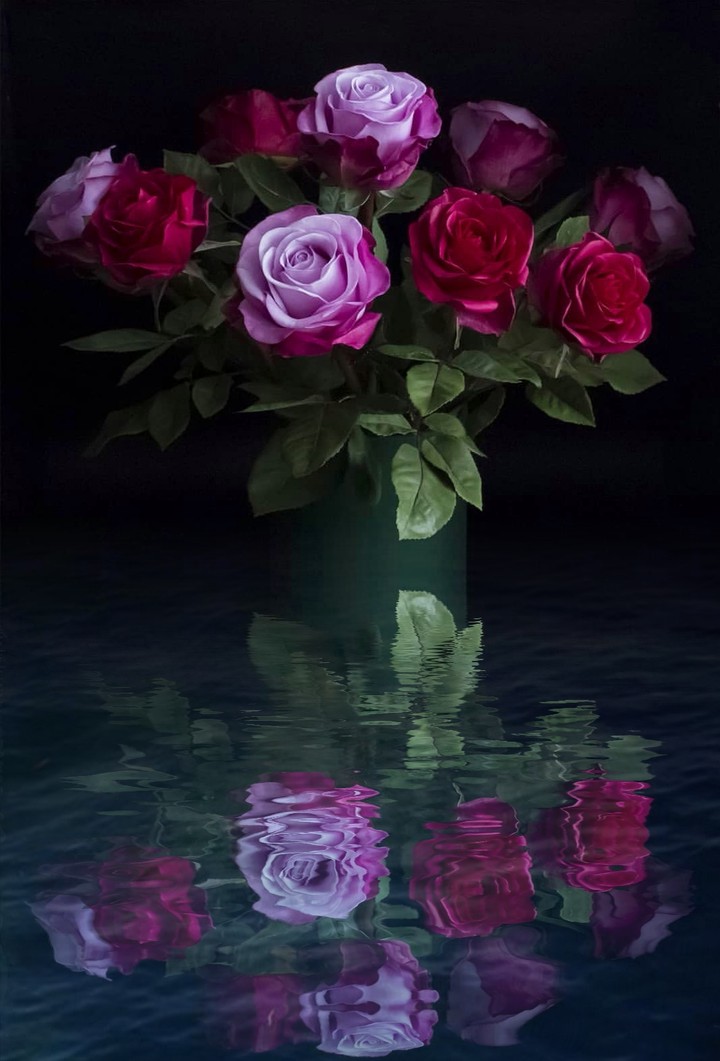 Roses