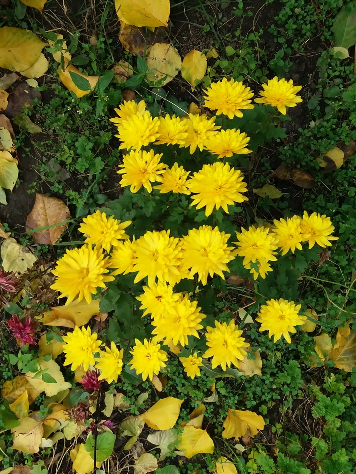 November