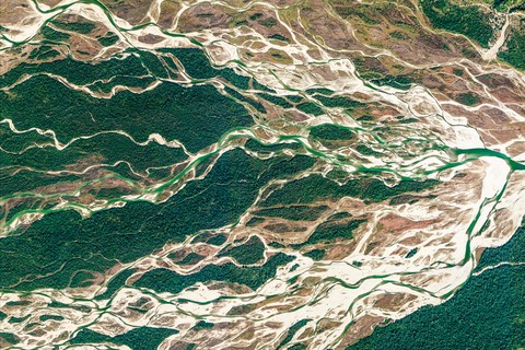 bay, algae achtergronden