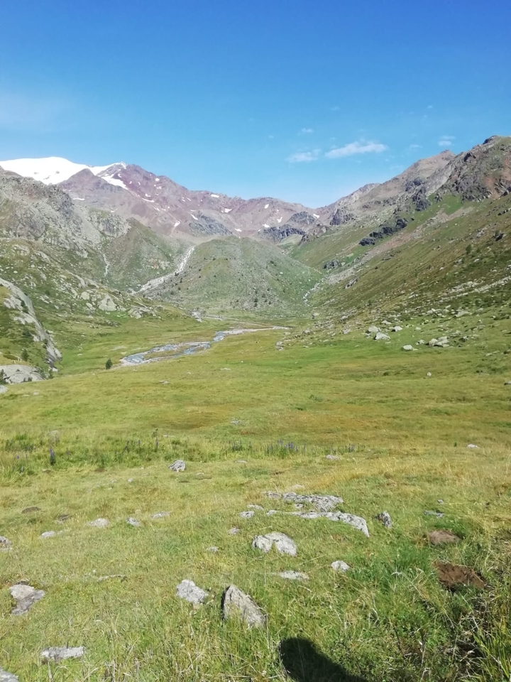 Mountains