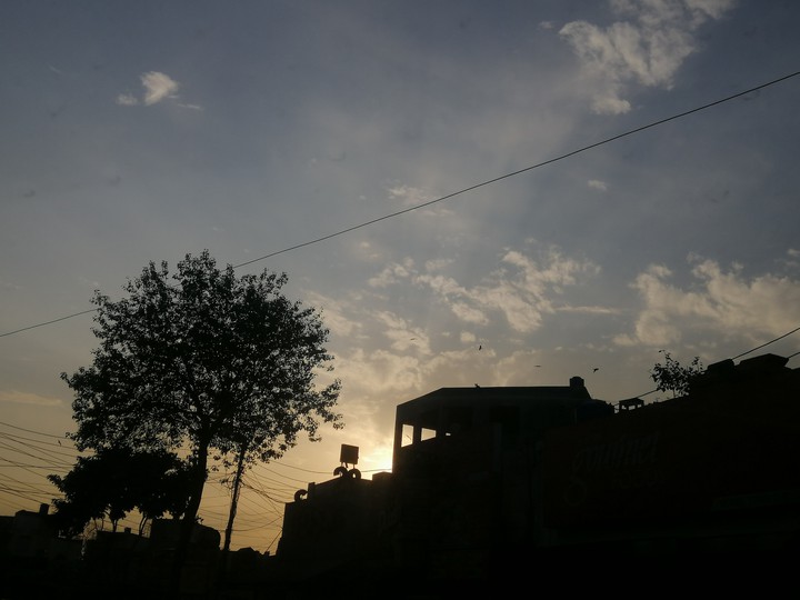sunshine