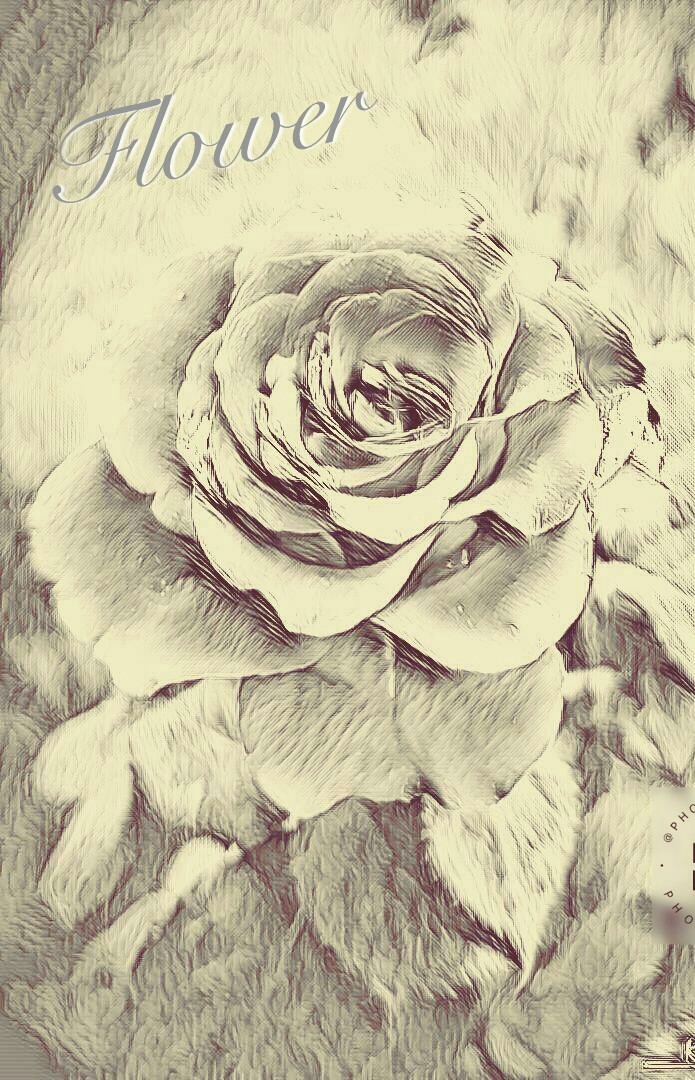 flower.Follow me