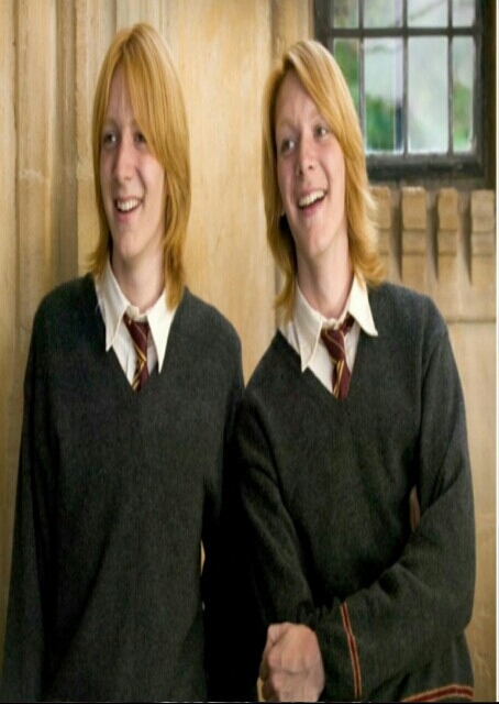 I decide to continue harry potter character survey