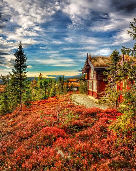 nature