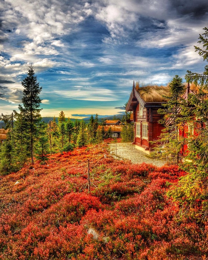 nature